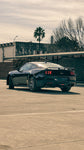 Ford Mustang GT Performance 5.0L V8 Coyote 0km