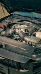 Ford Mustang GT Performance 5.0L V8 Coyote 0km