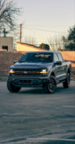 Ford F-150 TREMOR 5.0L V8 Coyote 0km