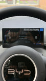 BYD Dolphin Mini EV GS 0KM